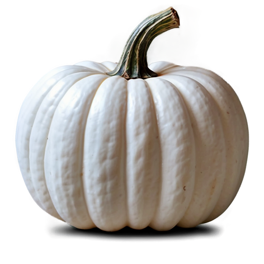 Elegant White Pumpkin Png 22