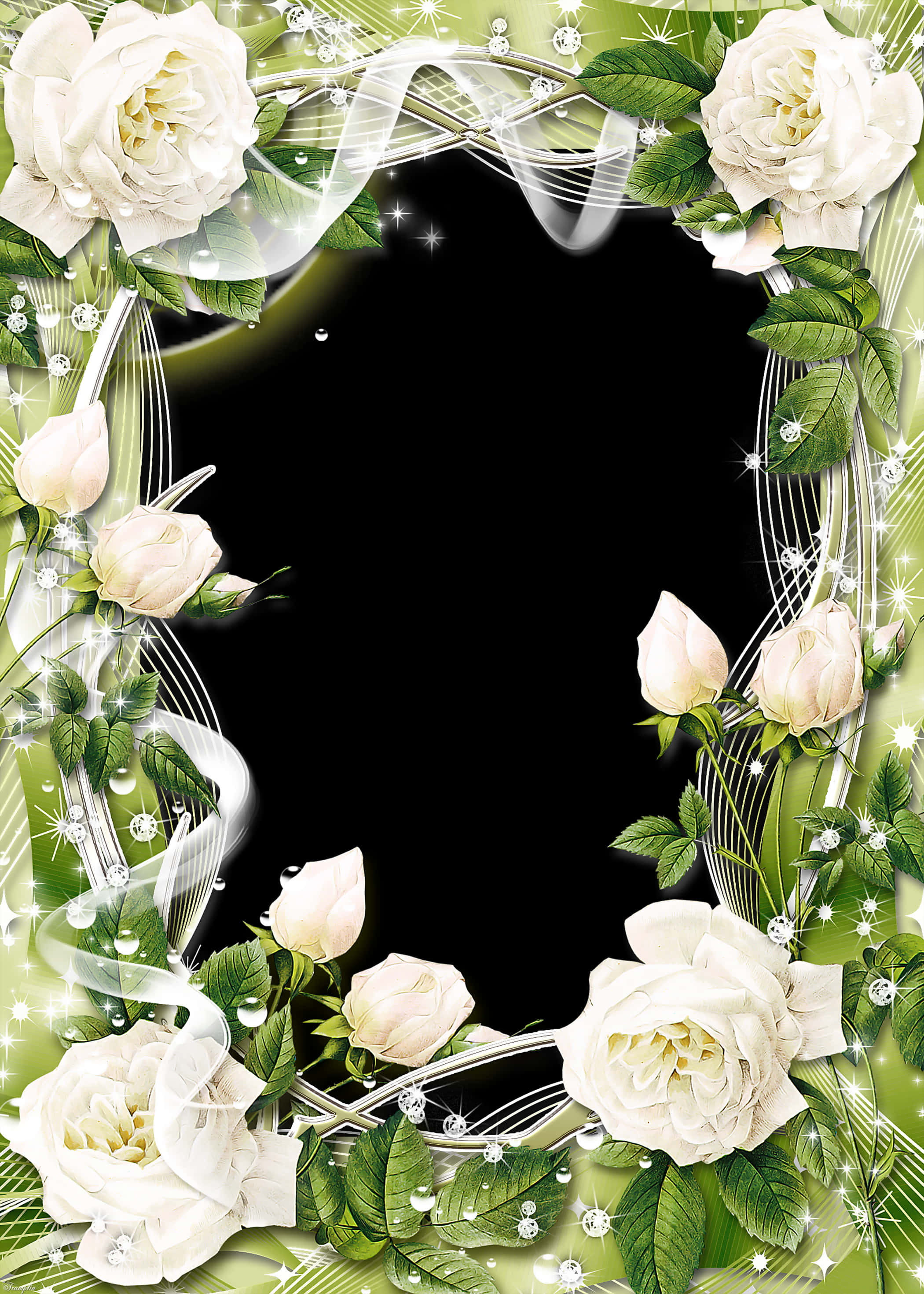 Elegant_ White_ Roses_ Frame