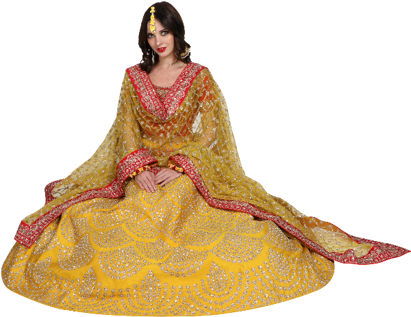 Elegant Yellow Lehenga Choli