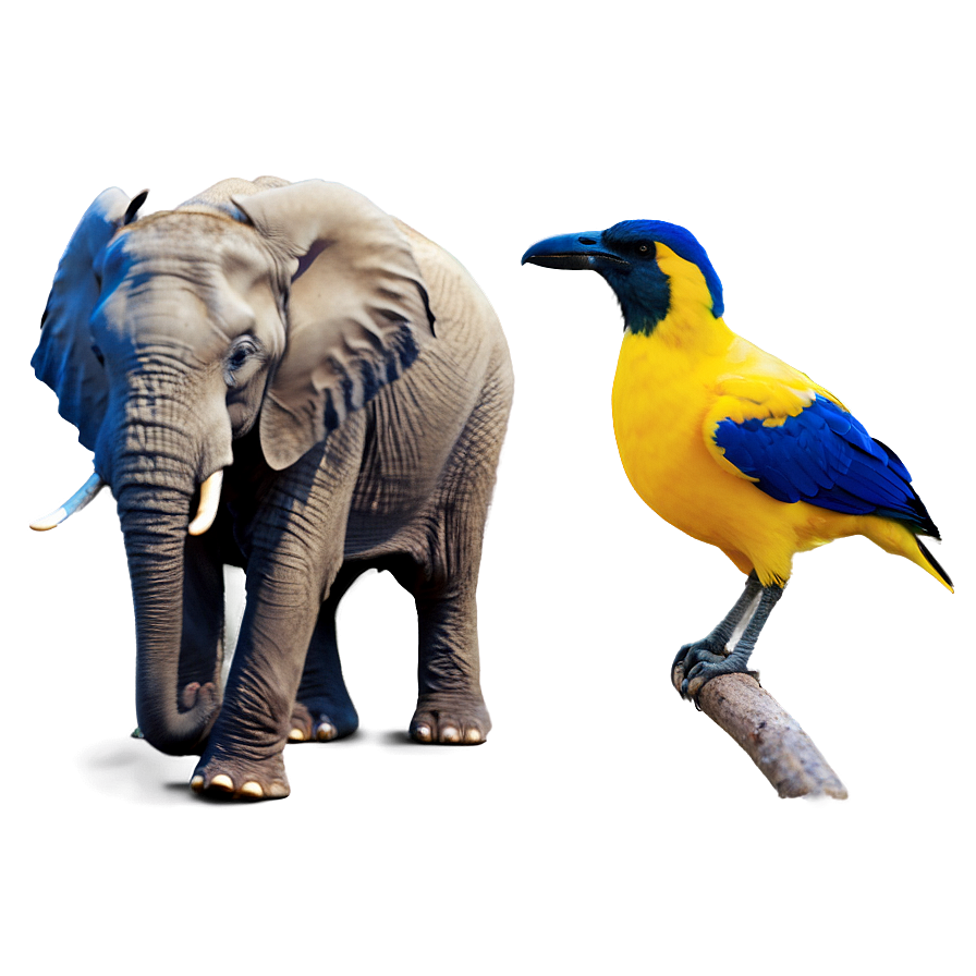 Elephant And Bird Friendship Png Dim73