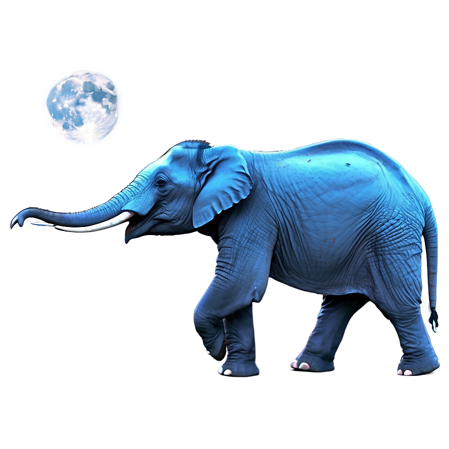 Elephant In Full Moon Night Png 38