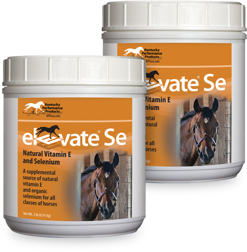 Elevate Se Natural Vitamin E Selenium Supplement Horses - Vitamin E For Horses, HD Png Download PNG with transparent background