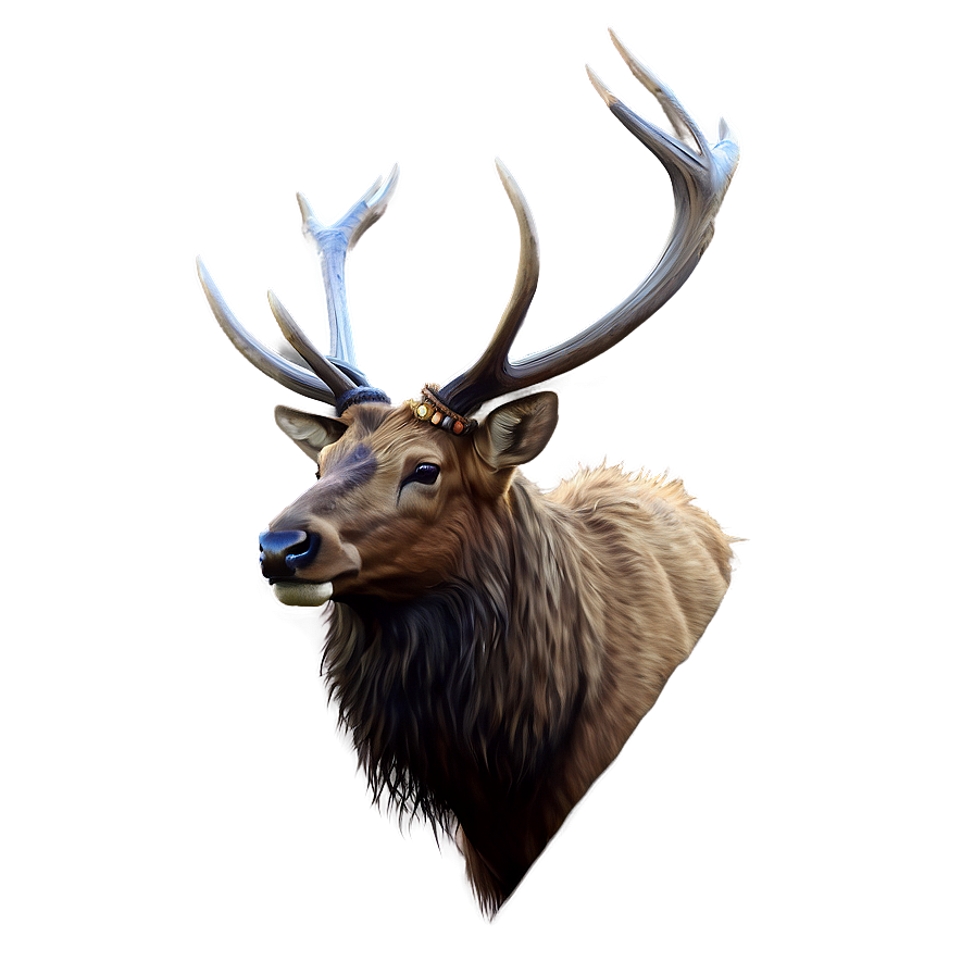 Elk Digital Art Png 05242024