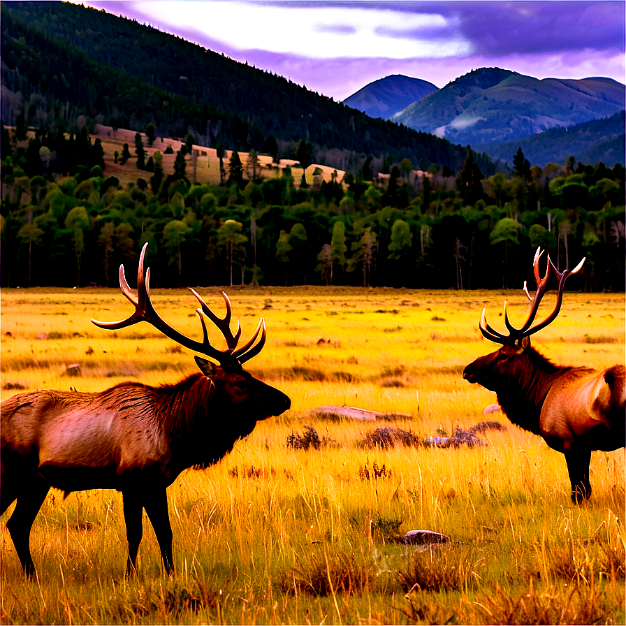 Elk Habitat Png Tvi45