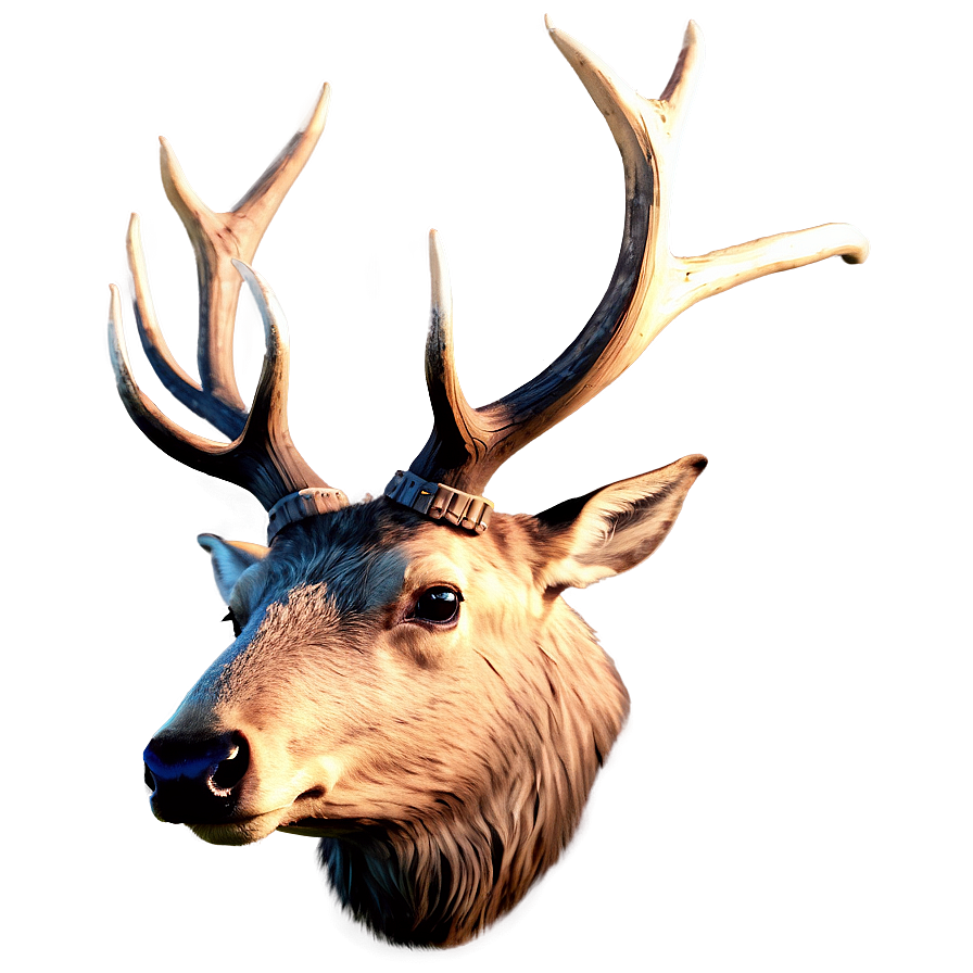 Elk Head Png 05242024