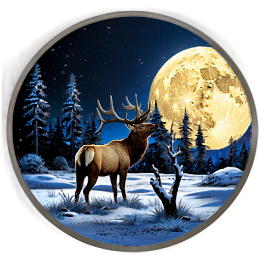 Elk In Moonlight Png Kde