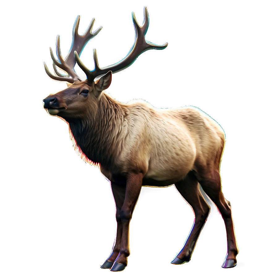 Elk Sketch Png 05242024