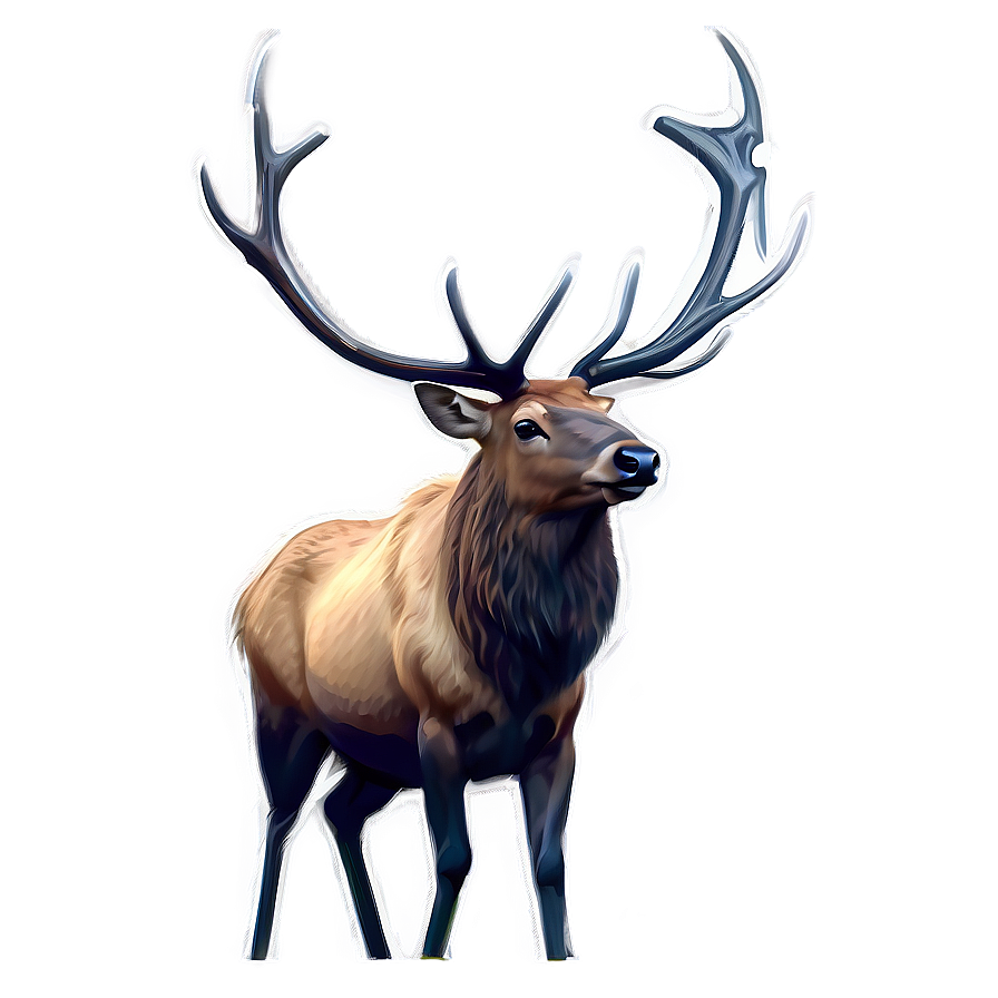 Elk Sketch Png 70