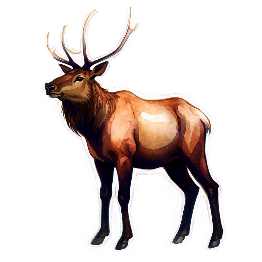 Elk Watercolor Png 05242024