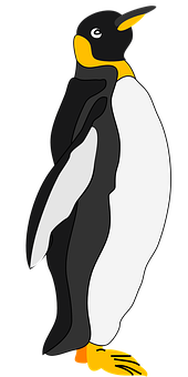 Emperor Penguin Illustration