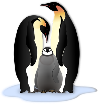 Emperor Penguinand Chick Illustration PNG with transparent background