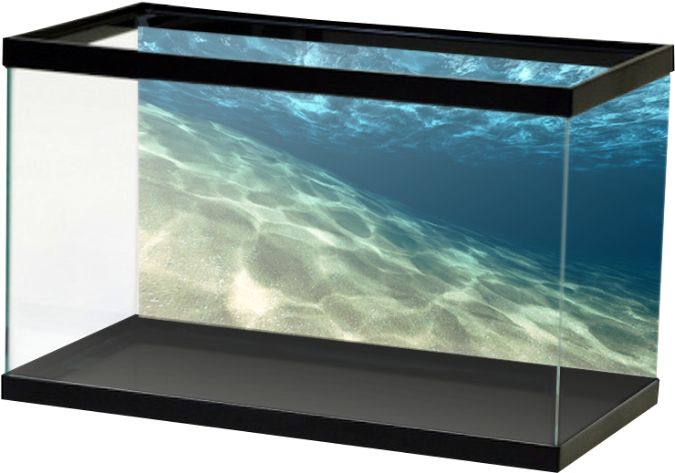 Slantedsandopenwater - Aquarium Frosted Background, HD Png Download PNG with transparent background