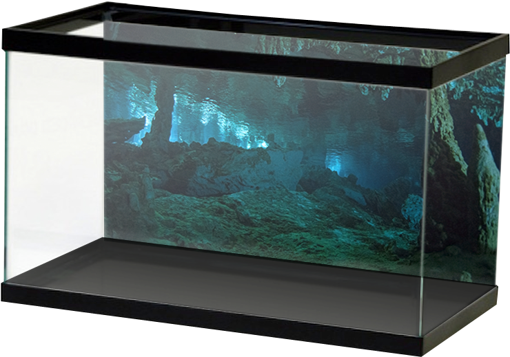 Aquariumvinyl Stalagmightcave - Aquarium Vinyl Self Clinging Backgrounds, HD Png Download PNG with transparent background