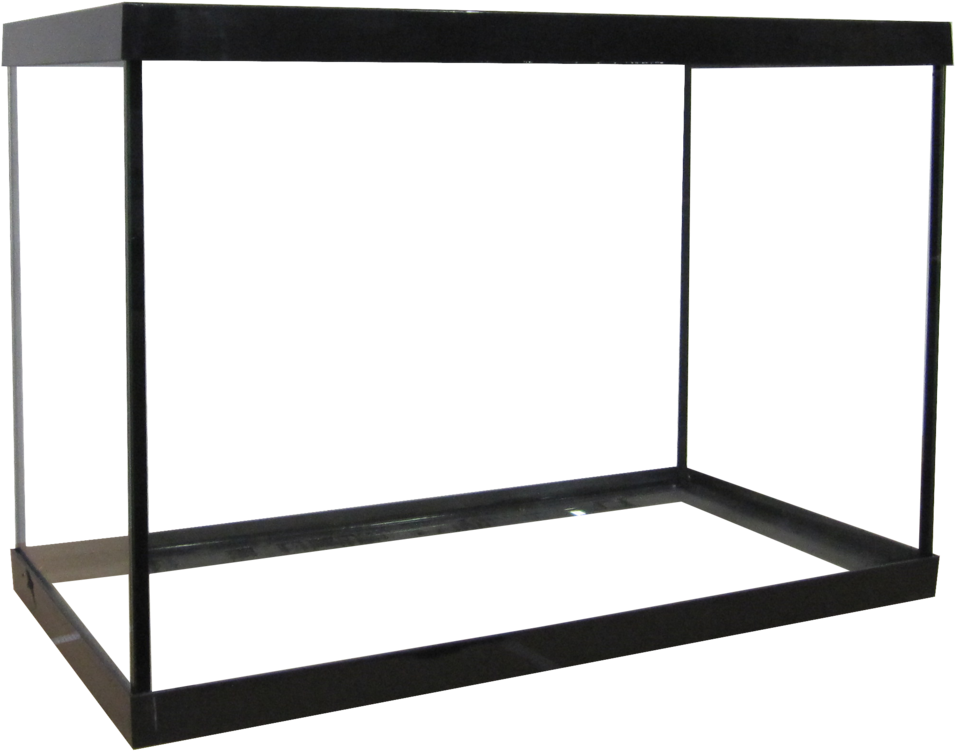 20r - 1 - 20 Gallon High Aquarium, HD Png Download PNG with transparent background