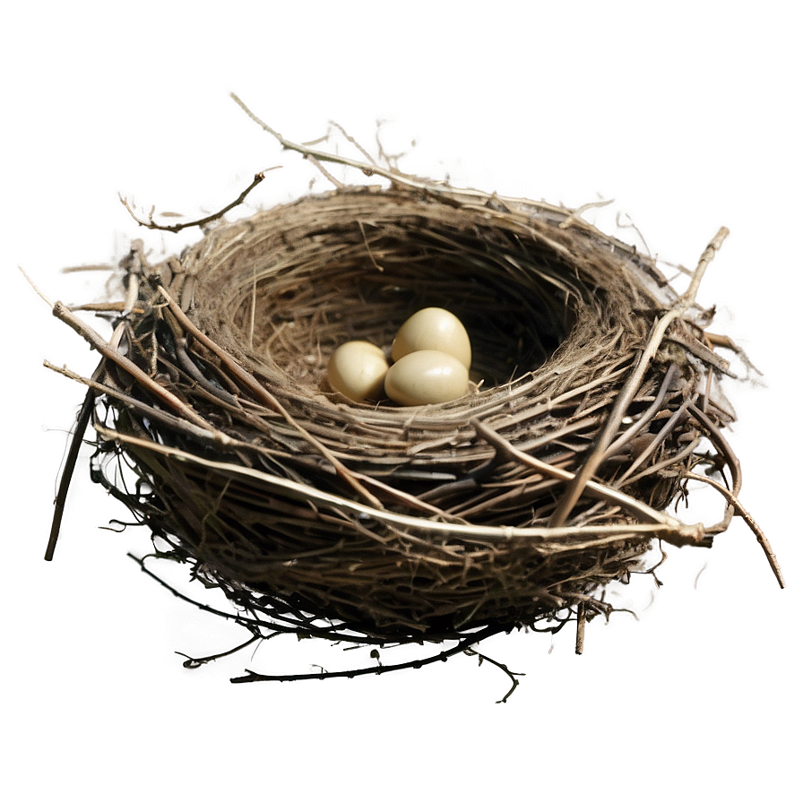 Empty Bird Nest PNG 05252024 PNG image with a transparent background, free high-resolution download