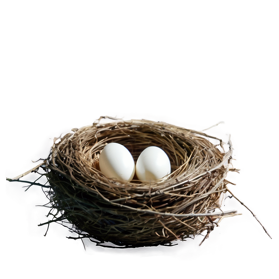 Empty Bird Nest PNG 05252024 PNG image with a transparent background, free high-resolution download