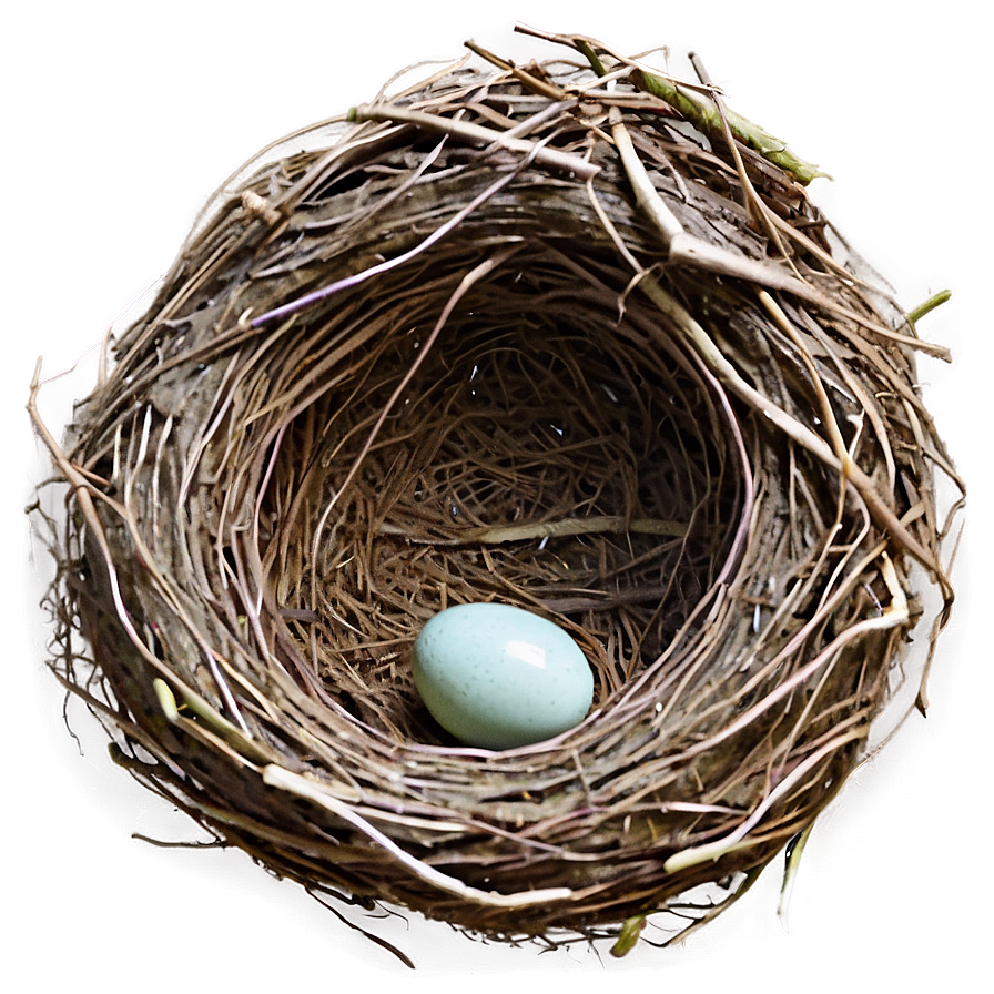 Empty Bird Nest PNG 25 PNG image with a transparent background, free high-resolution download