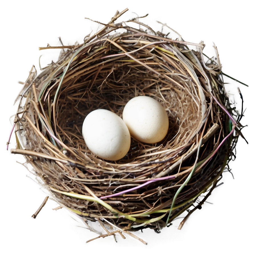 Empty Bird Nest PNG 92 PNG image with a transparent background, free high-resolution download