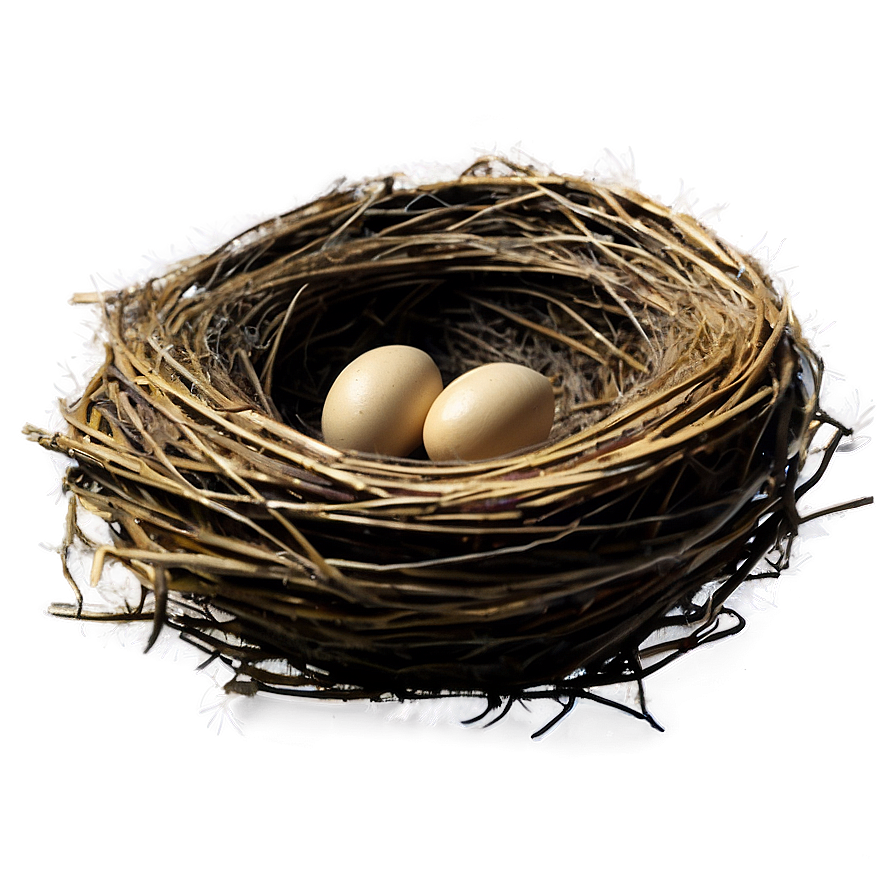 Empty Bird Nest PNG oau PNG image with a transparent background, free high-resolution download