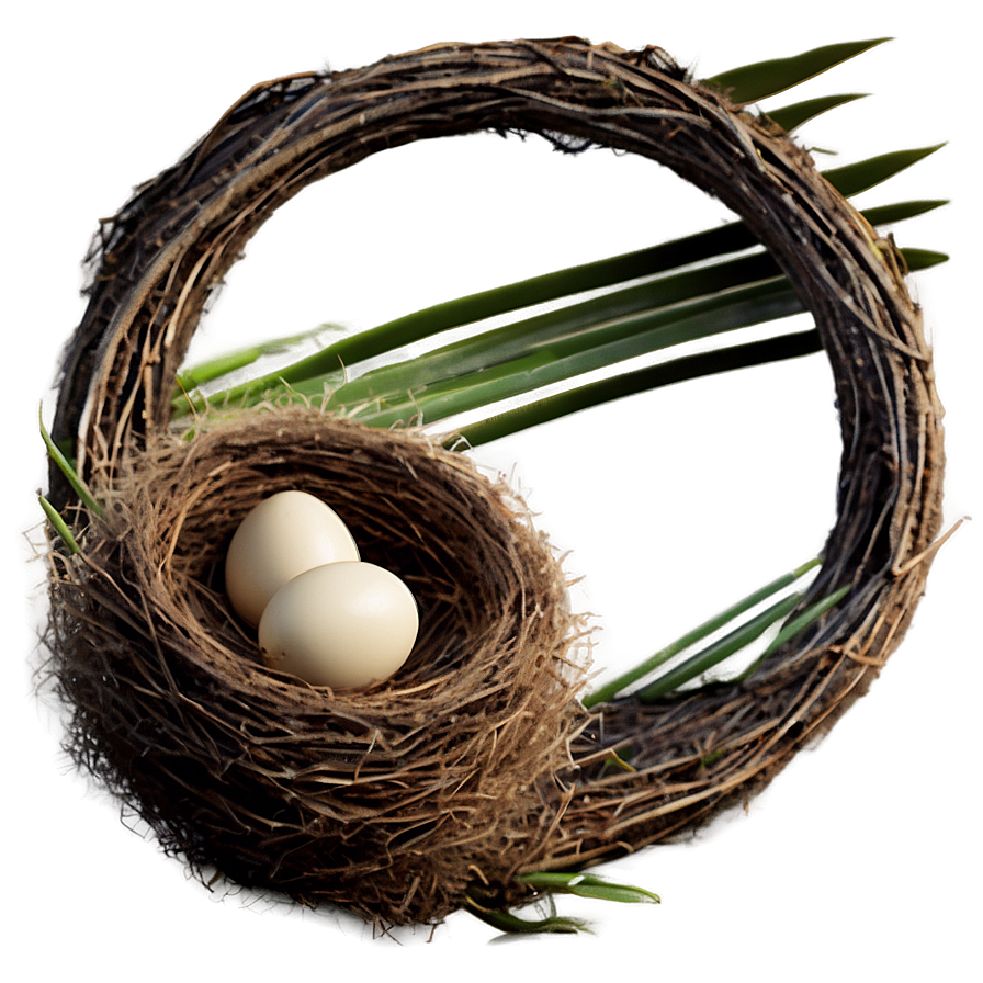 Empty Bird Nest Png Vjy