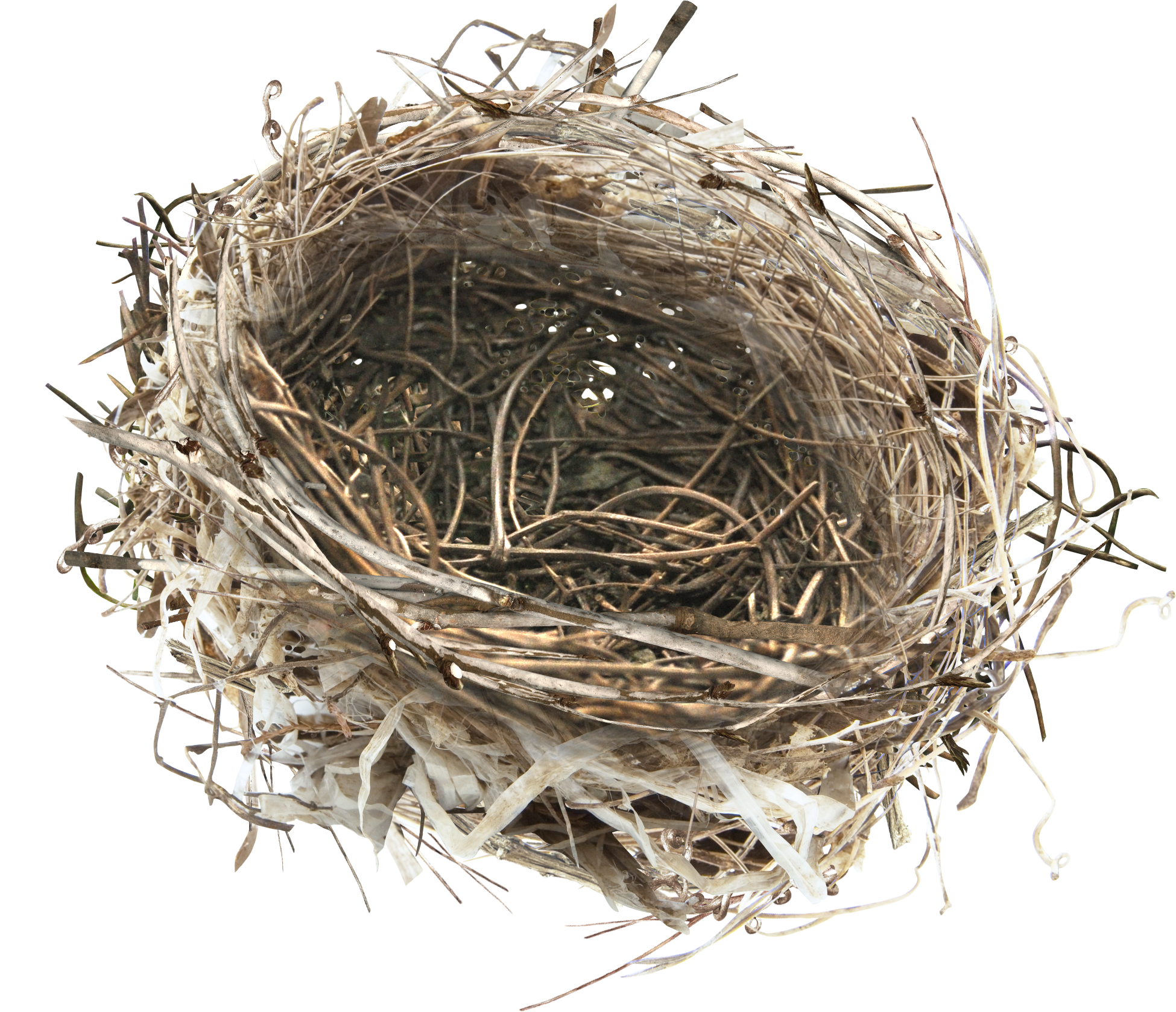 Empty Bird Nest Top View