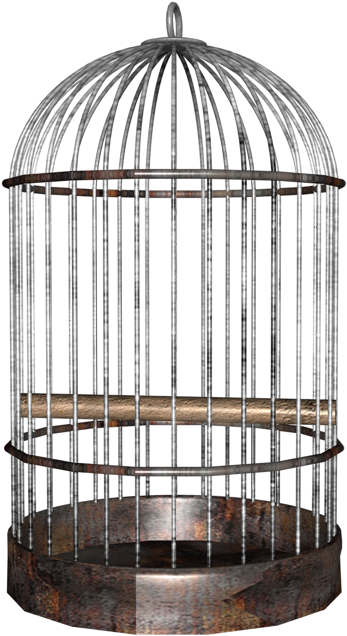 Cage Background Png - Transparent Bird Cage Png, Png Download PNG with transparent background