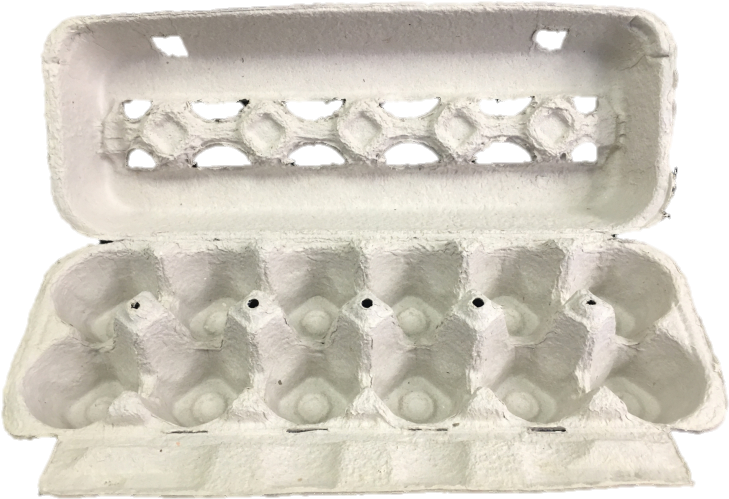 Empty Egg Carton Open Top View