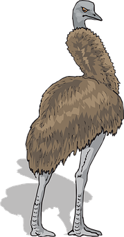 Emu Illustration Brown Feathers PNG with transparent background