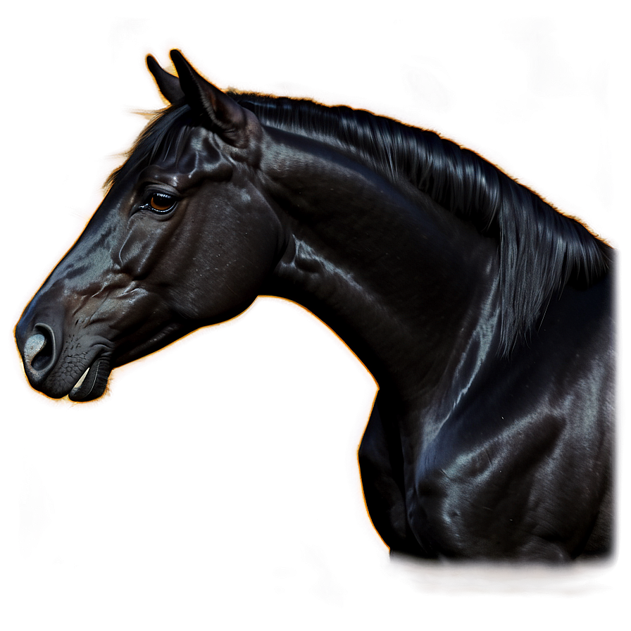 Enchanted Black Horse Magic Png 06262024