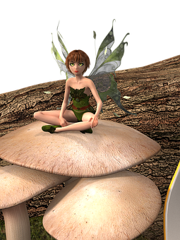 Enchanted Forest Fairy On Mushroom.jpg