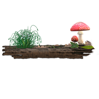 Enchanted Forest Mushrooms PNG with transparent background