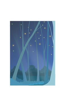 Enchanted Forest Night Scene PNG with transparent background