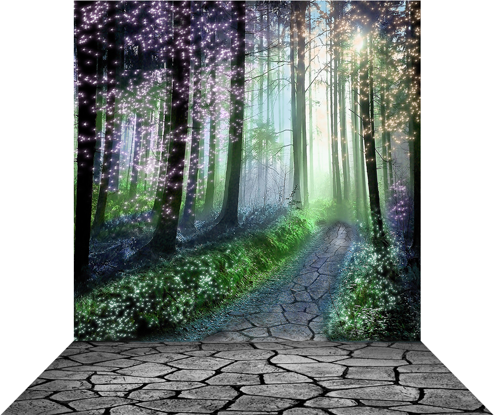 Enchanted Forest Pathway