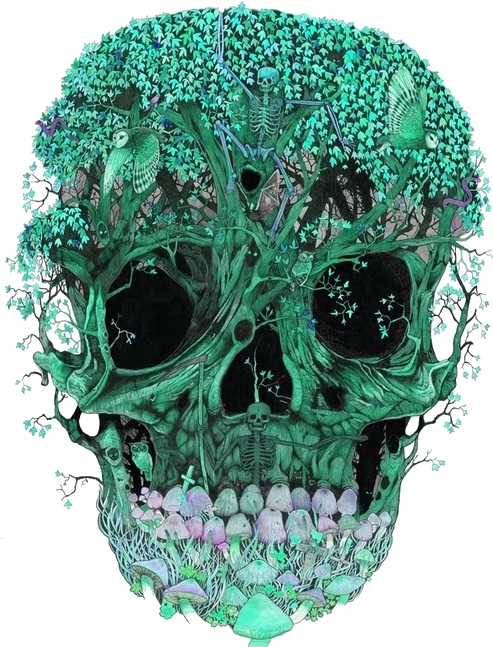 Enchanted Forest Skull Artwork