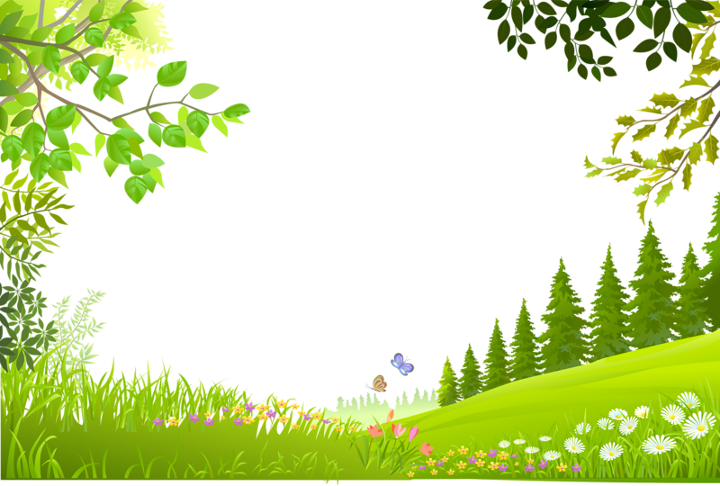 Spring Meadow PNG Clipart PNG with transparent background