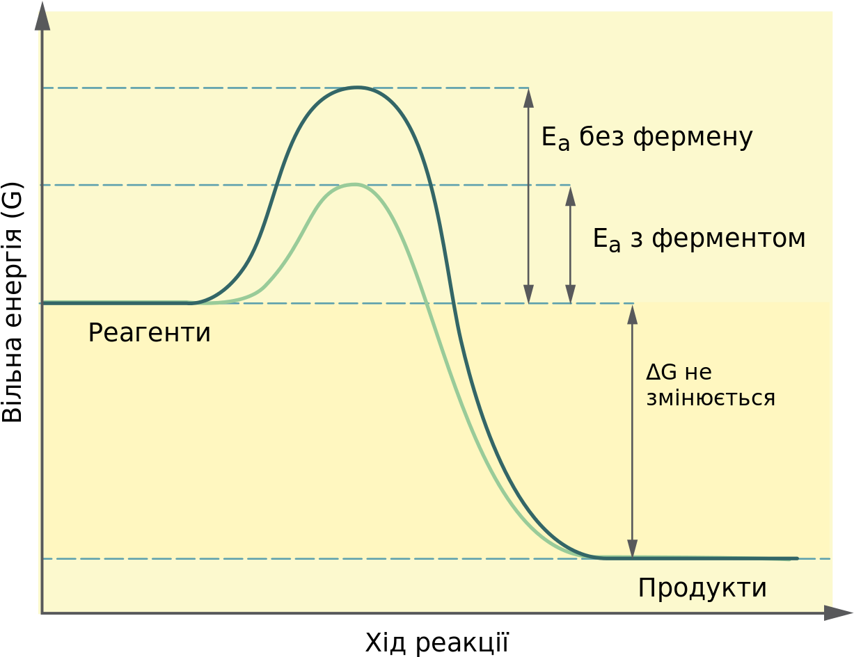 Effect Of Enzymes On Activation Energy, HD Png Download PNG with transparent background