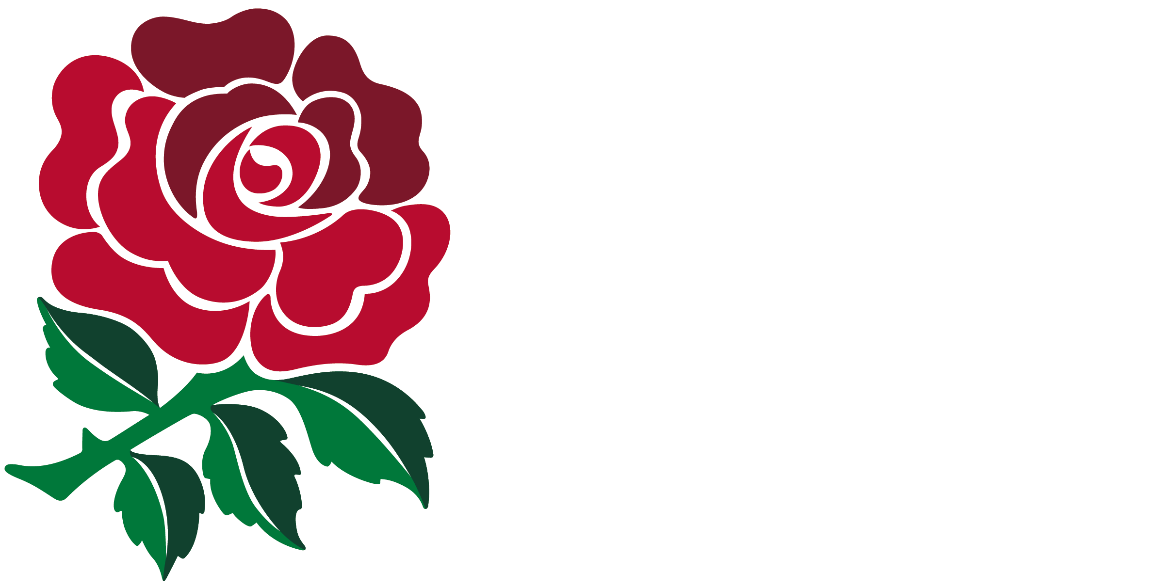 Thumb Image - Red Rose England Rugby, HD Png Download PNG with transparent background
