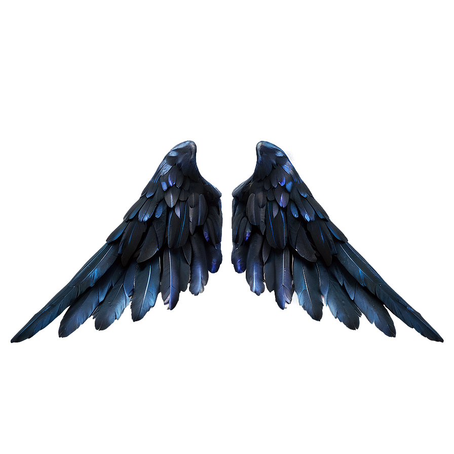 Enigmatic Black Wings PNG 06232024 PNG with transparent background