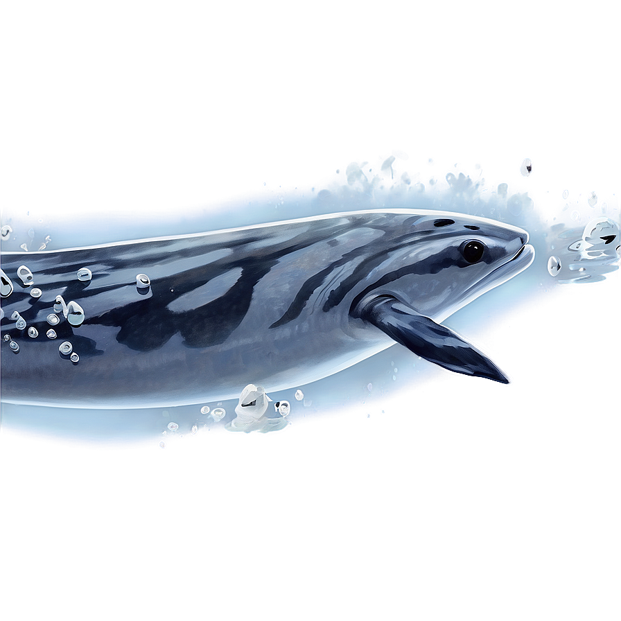 Enigmatic Dark Waters PNG 29 PNG image with a transparent background, free high-resolution download