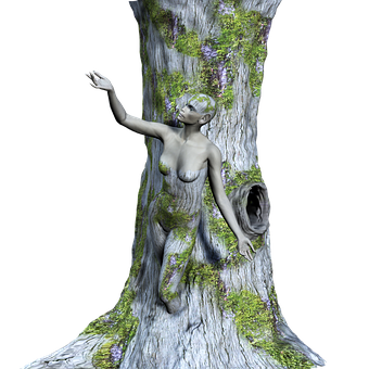 Entwined Nature Human Fusion Art PNG with transparent background