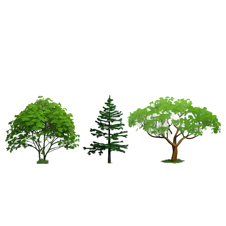 Environmental Tree Elevation Png Vvb