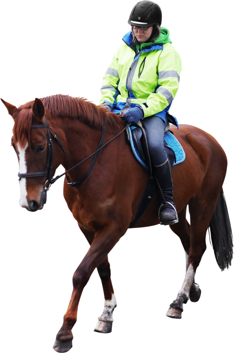 Equestrian Riderin Hi Vis Gear