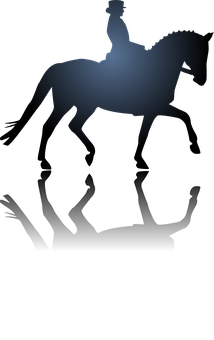 Equestrian Silhouette Black Background PNG with transparent background
