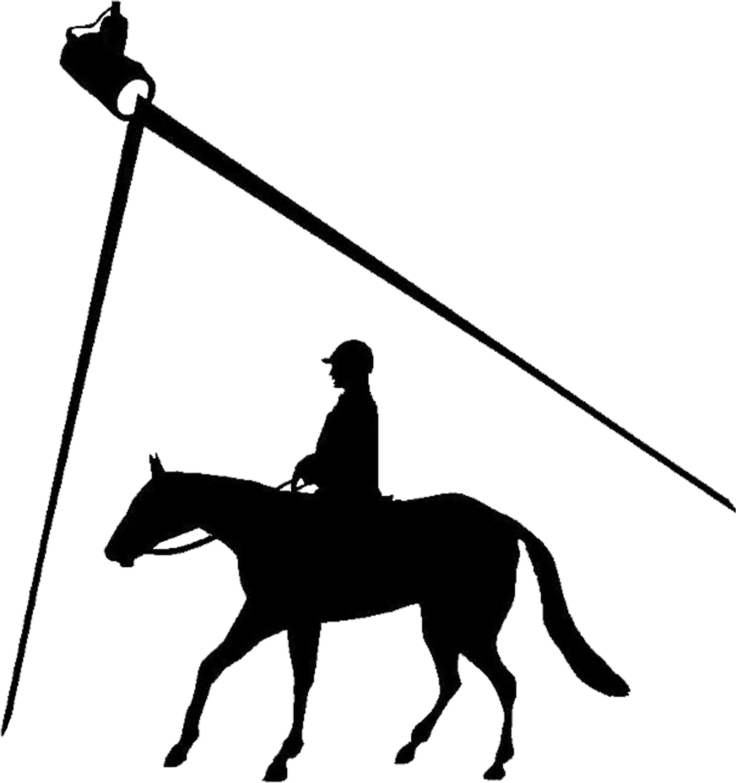 Equestrian Silhouette Under Streetlight