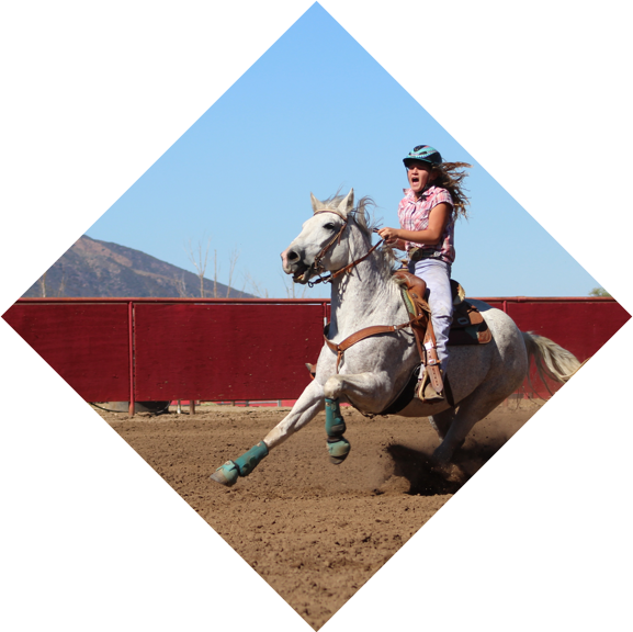 Equestrianin Action Galloping Horse.jpg