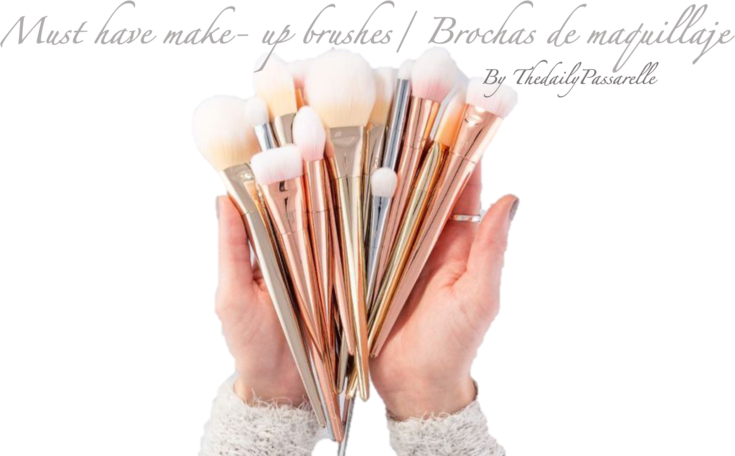 Essential Makeup Brushes Collection