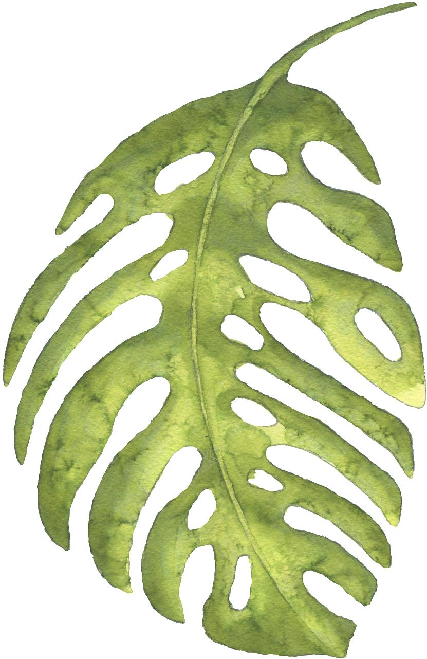 Este Gráficos Es The Green Banana Leaves Large Hand-painted - Leaf Large Png, Transparent Png PNG with transparent background