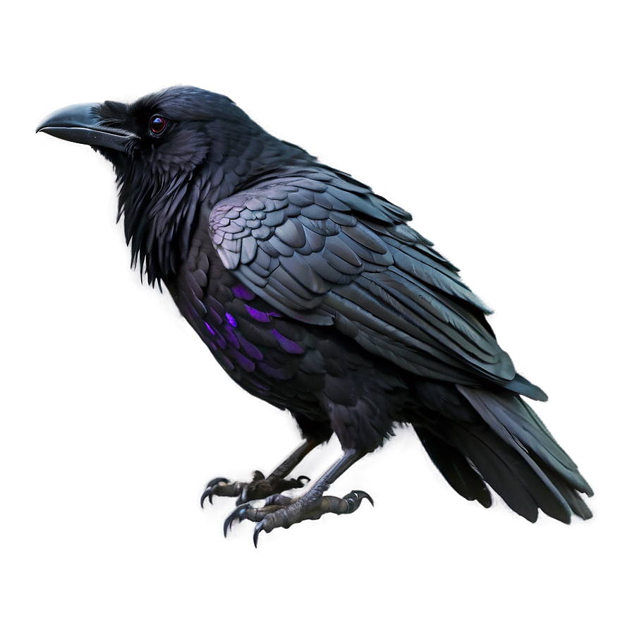 Ethereal Raven Png 68