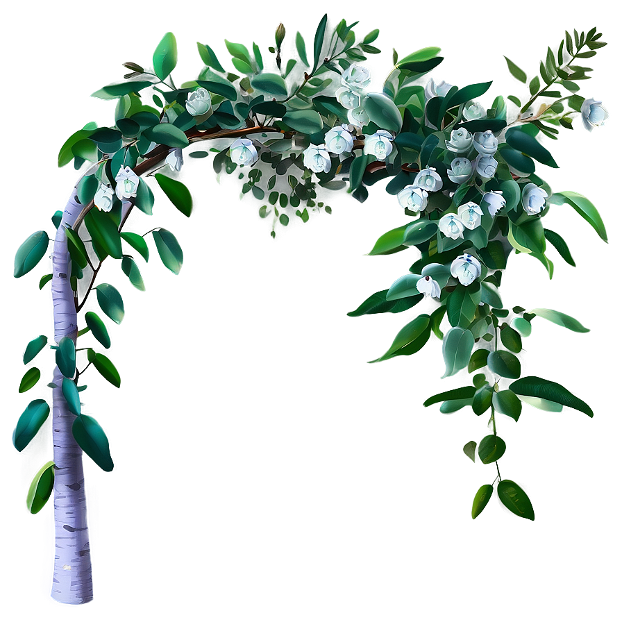 Eucalyptus Branch Arch Png Qje