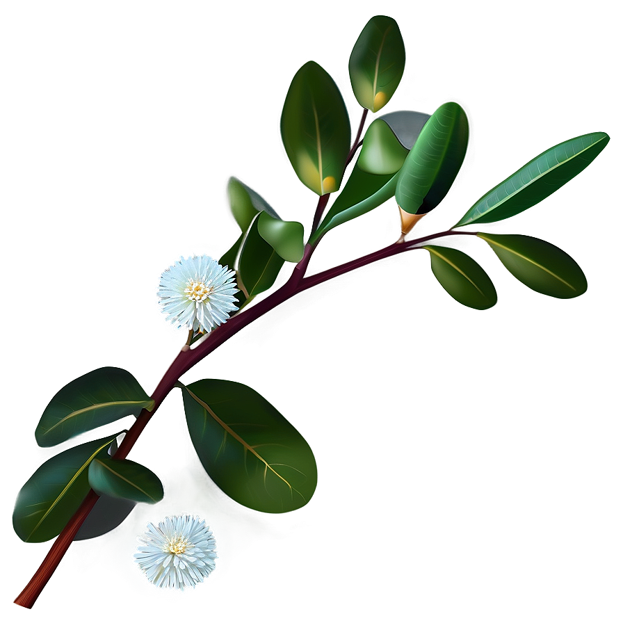 Eucalyptus Branch with Flowers PNG hvy PNG image with a transparent background, free high-resolution download